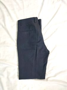 Mens Navy Blue Formal Pant