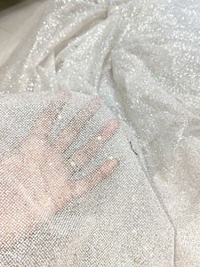 Imported Sparkling Silver Fabric