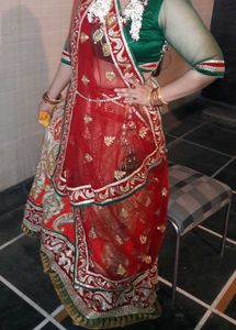Embroidered Lehenga choli