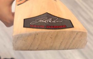 gary Nicholas cricket bat English willow