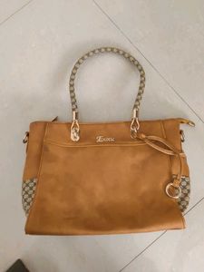 Exotic Brown Bag Hand Ba