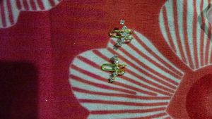 Sparkling Ear Cuffs with Stones