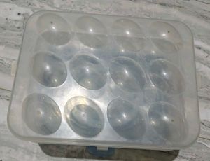 Egg container