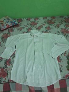 Classic Men's Button-Down Shirt