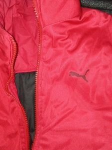 Red Puma Jacket (ORIGINAL)