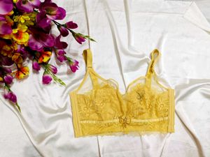 🇳🇿💫🎀Elegant Yellow Lace Bra