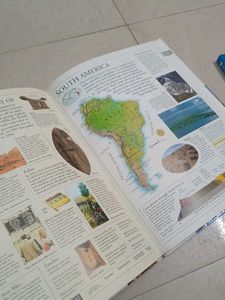 DK Illustrated Family Encyclopedia Vol. 13
