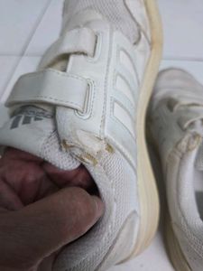 Adidas Velcro white Shoes