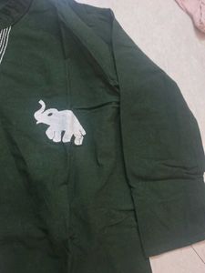 Green Elephant Print Kurta
