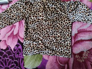 Animal Print Long Sleeve Top