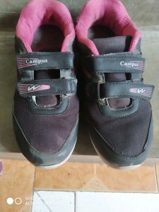 Campus Sports Shoes
