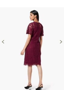 Elegant Lace Dress