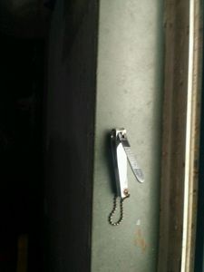 Nail cutter