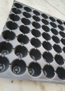 2 Seed Starter Tray