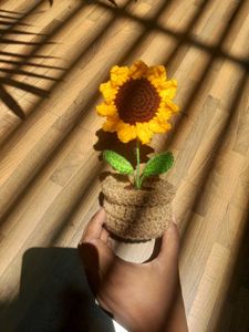corchet sunflower 🌻 pot