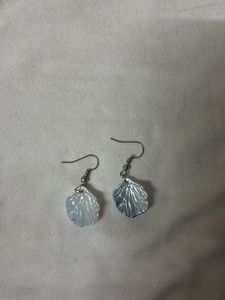 Shell Earrings