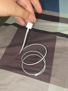Apple Original Charging Cable