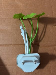 Novelty Plug-in Night Light