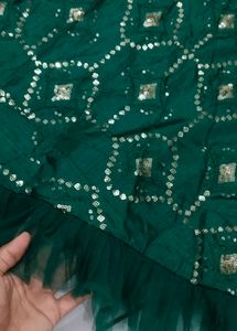 Green Embellished Lehenga Skirt