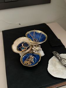 Shell Jewelry Organizer
