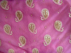 Classy ethnic saree