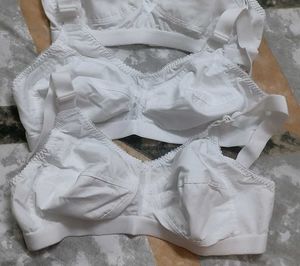 Pack Of 2
