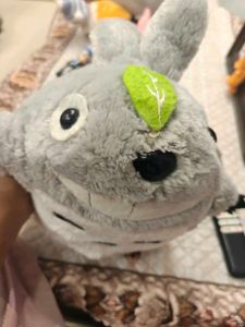 totoro