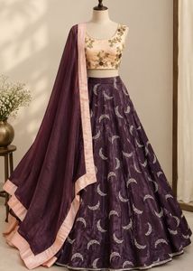 Brown Bow Moon Lehenga Choli Set