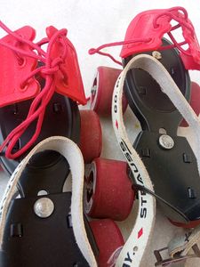 Rolar Skates