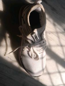 Puma White Casual Sneakers