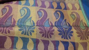 Multicolour Organza Saree