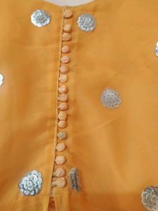 beautiful Indo Western lehenga
