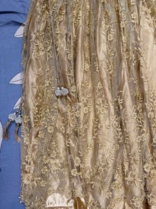 Elegant Golden Ethnic Gown