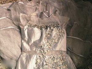 Elegant Silver Formal Gown