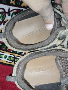 Woodland Shoes