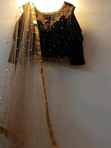 Elegant Sequined Lehenga Choli Set