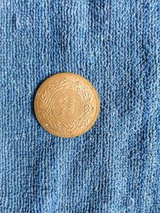 unique old tree coins