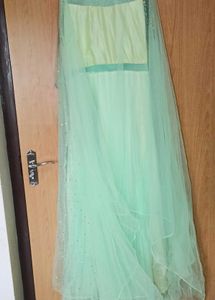 Elegant Mint Green Lehenga Choli
