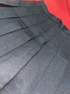 Pleated Skirt