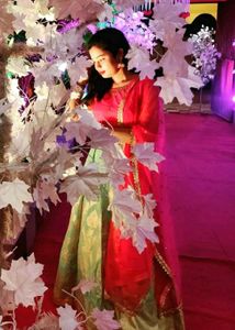 boutique designed BANARASI lehenga set