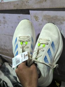 Adidas TorFlex m
