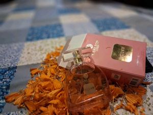 Carlton London Blush Perfume