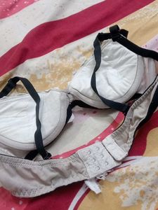 Embroidered Lace Bra