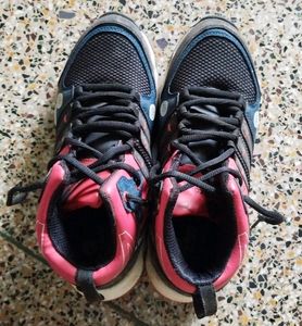 Bacca Bucci Shoes.