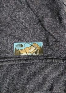 the north face hoodi