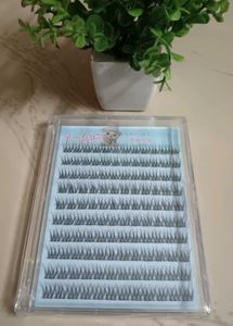 🇰🇷 Glue-Free False Eyelashes