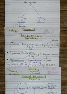 Class 10th Bio & Chemistry Loose Notes for Rev.