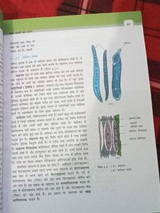 Class 11 Biology Textbook