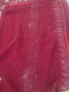 Stunning Sequin Saree