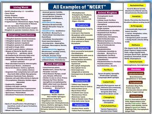 NEET Biology MindMaps